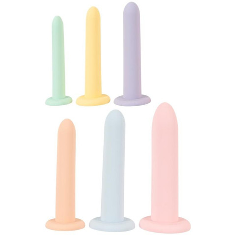 Set Allenamento - 6 dildo Vari Colori 