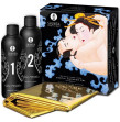 Shunga - Erotic Massage Kit 500ml